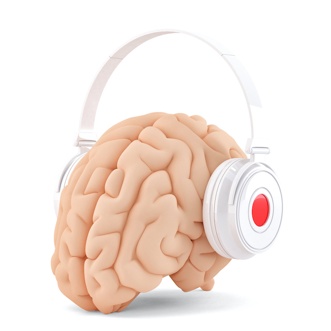 コンクールで入賞するための「音楽の脳」が育つ